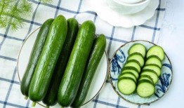 如何吃角刺瓜,解锁美味新体验