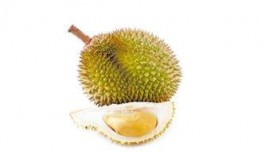 榴莲吃瓜君,吃瓜君带你探索异国风味