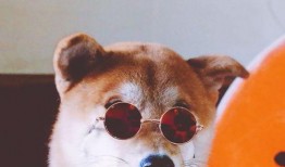 吃瓜二狗子是谁,吃瓜二狗子的崛起之路