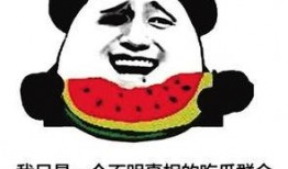 吃瓜群众组词语,吃瓜群众视角下的娱乐圈风云录