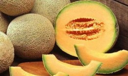 吃海螺吃哈密瓜,探寻美食的奇妙融合之旅