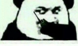 青你吃瓜,揭秘偶像幕后那些事儿