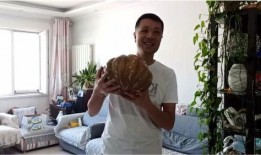 九哥吃大瓜,揭秘娱乐圈最新大瓜