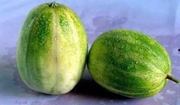 吃利瓜,探寻吃利瓜的独特风味与养生之道