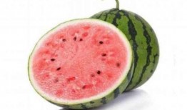 吃瓜吃瓤还是肉好吃,吃瓜吃瓤还是肉？揭秘最佳口感选择