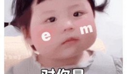 吃瓜表情包丸子妹