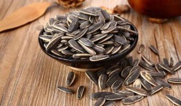 吃瓜子豆瓜着,品味生活的小确幸