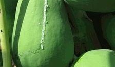 凹凸嫚吃瓜,揭秘娱乐圈背后的那些事儿