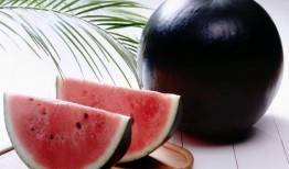 吃黑瓜的网站,吃黑瓜网站带你领略独特风味