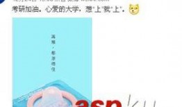 吃瓜读后感,揭秘娱乐圈背后的真相与反思