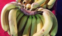 瓜蕉怎么吃的,教你轻松解锁美味吃法