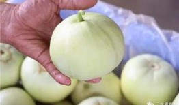 田心三水知乎吃瓜,揭秘网络红人的幕后故事