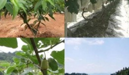 露营吃瓜搞笑,欢乐无限，笑料横生！