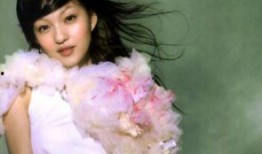 张韵涵的吃瓜,揭秘娱乐圈幕后真相