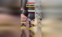 吃瓜眼神不好,眼神不佳，趣味不减