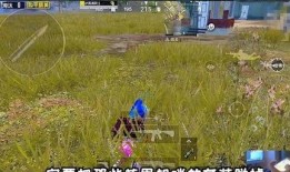 虎牙鱼塘公会吃瓜,揭秘网络直播圈的幕后故事