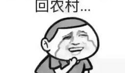 吃瓜群众的收入,吃瓜群众的经济生活全景