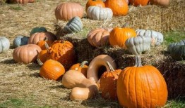 纯一吃瓜,揭秘娱乐圈那些不为人知的幕后故事