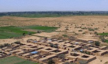 民勤种树吃瓜,种树与吃瓜的生态奇迹