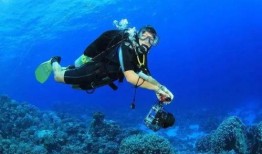 专业潜水吃瓜号,揭秘专业潜水员背后的神秘世界