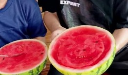 吃瓜哪家技术强,吃瓜哪家技术强，盘点各大平台瓜技巅峰对决