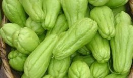 冬天佛手瓜怎么吃,多样吃法温暖你的冬天