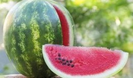 妲喜吃瓜,揭秘古代宫廷的八卦风云