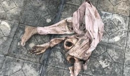 台州天台吃瓜事件,一场引发热议的网络狂欢