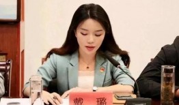 吃瓜网戴局长,戴局长背后的故事与真相