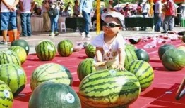 吃瓜大赛吃西瓜