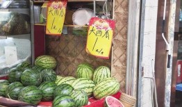 吃瓜专卖店,品味夏日清凉，畅享瓜果盛宴