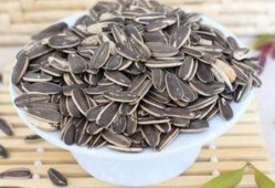 吃瓜子豆瓜着,品味生活的小确幸