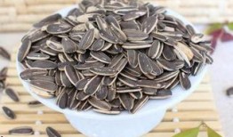 吃瓜子豆瓜着,品味生活的小确幸