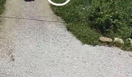 吃瓜摩托男,揭秘校园里的独特风采