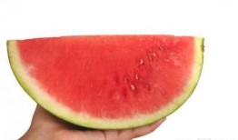 吃瓜最新事件伊犁,揭秘新疆伊犁瓜农的甜蜜困境