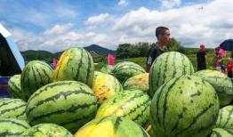 梁山吃瓜的视频,揭秘梁山好汉的日常生活与趣事