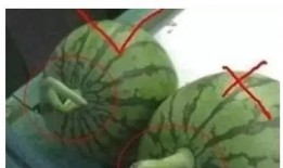 吃瓜没素材,揭秘娱乐圈那些鲜为人知的幕后故事