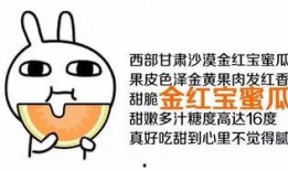 吃瓜你就来图片,网络热图背后的故事与启示