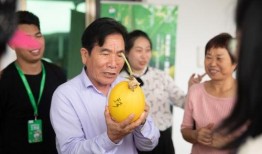 去天涯吃瓜吧真相