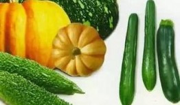 文锦里吃瓜,一场别开生面的“吃瓜”盛宴