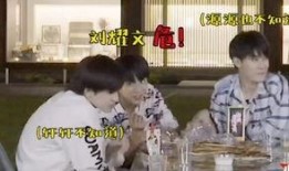 时代少年团吃瓜,揭秘偶像背后的“吃瓜”故事