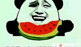 我有个瓜吃不吃,一场关于瓜的趣味辩论