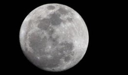 圆月吃瓜后续,揭秘娱乐圈背后的秘密与真相