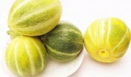 吃圆瓜,探寻传统与创新的完美融合