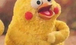 吃瓜大表哥,揭秘娱乐圈幕后故事