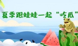 呱呱吃瓜呱呱好吃不,尽享美味时光