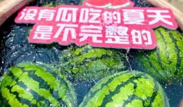 大型吃瓜现场冬天,揭秘娱乐圈冰火两重天