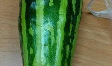 摘瓜吃瓜配乐叫什么歌,欢声笑语——揭秘经典配乐XXX背后的故事