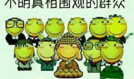 吃瓜群众治愈图片高清,吃瓜群众共享的瓜田欢乐时光