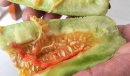 吃瓜黄色料,吃瓜群众眼中的明星黄色料大揭秘